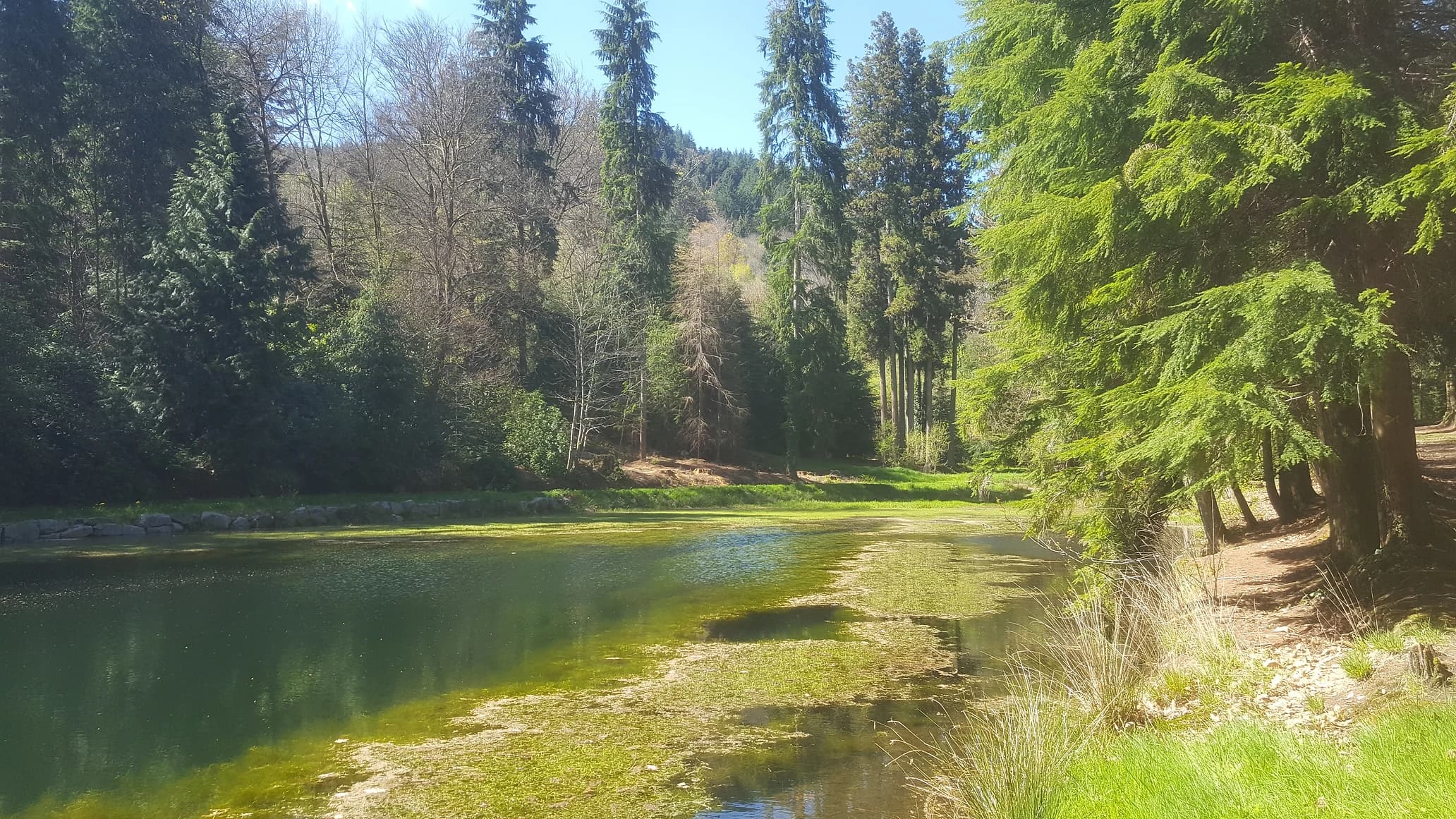 Arborétum de la Jonchère St Maurice